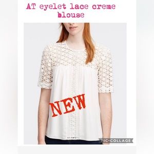 AT eyelet lace creme blouse /new condition size small